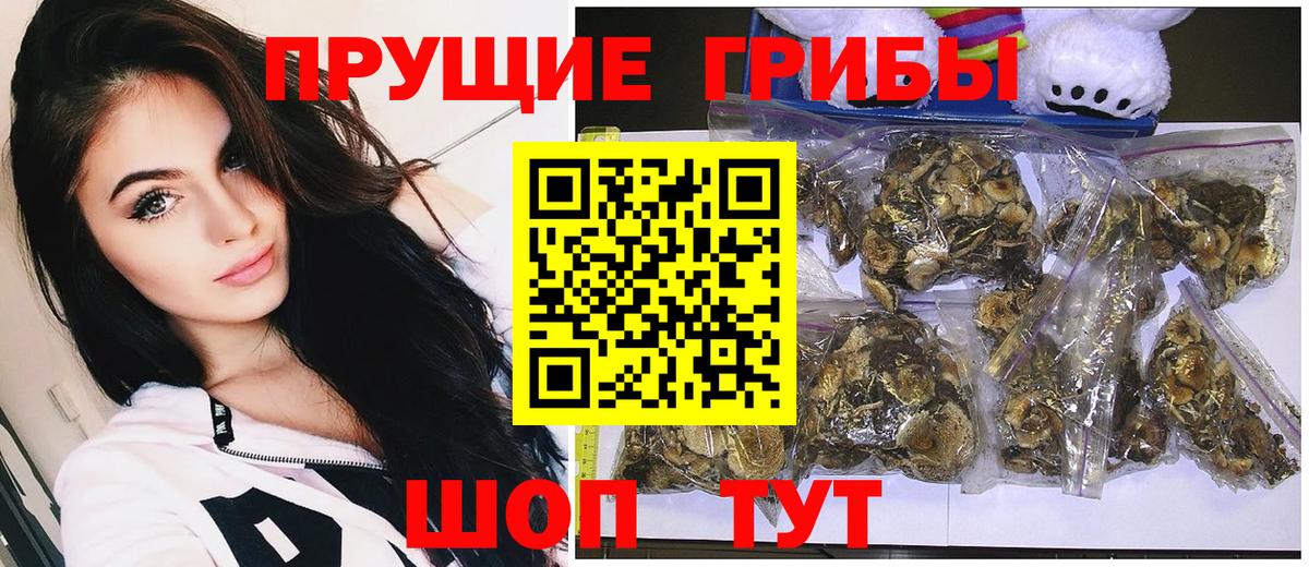 Галлюциногенные грибы GOLDEN TEACHER  Вход с VPN  Псилоцибиновые грибы Magic Shrooms  Луховицы 